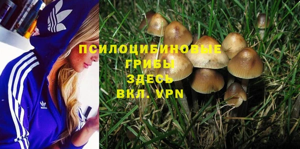 PSILOCYBIN Абинск