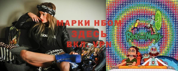 дмт Алексин
