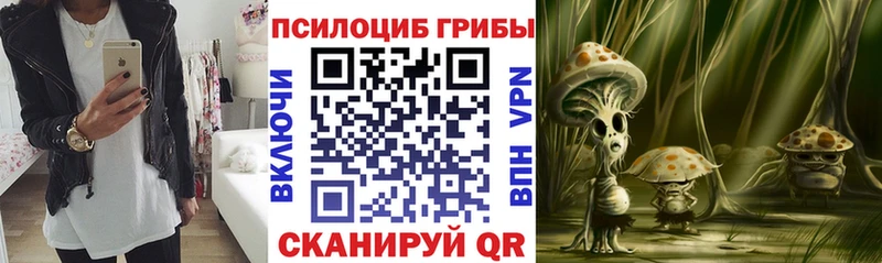 Галлюциногенные грибы мицелий  закладка  omg tor  Юхнов 